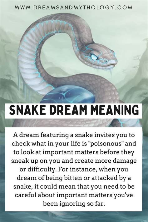 snake meaning in lottery|Lottery and Dreaming of Snakes: What is the Meaning of Snake .